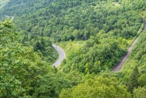 山間部の道路を運転する時のポイント